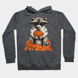 Raccoon with pumpkin Hoodie